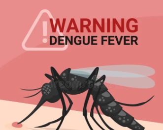 Pacific Island News - Dengue Fever Warning